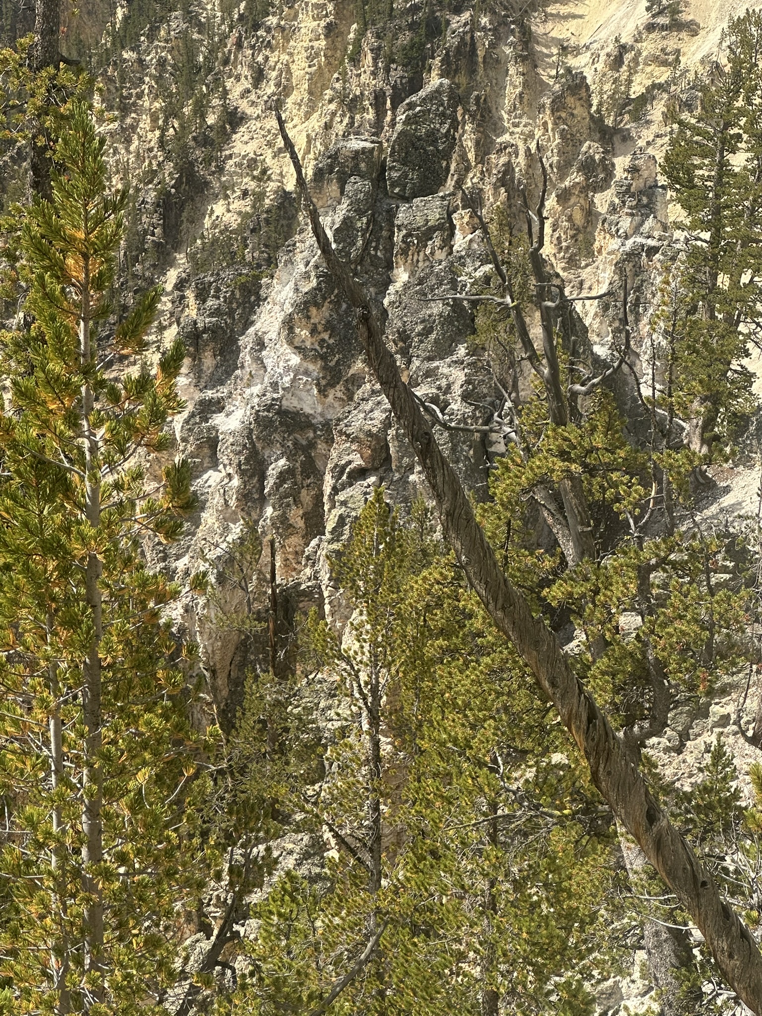 Yellowstone And Grand Teton National Parks - Image 459